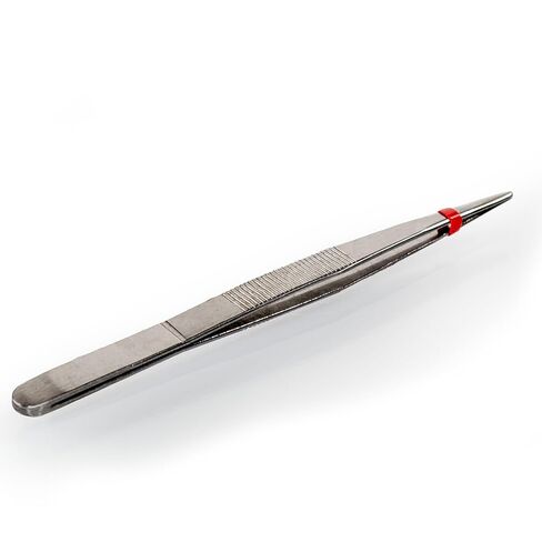 Eisco – Stainless Steel Blunt End Forceps – 130mm Length – Straight Tip Laboratory Forceps – Precision Dissection Tool for Classroom and Scientific Applications in Saudi Arabia
