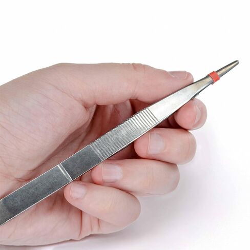 Eisco – Stainless Steel Blunt End Forceps – 130mm Length – Straight Tip Laboratory Forceps – Precision Dissection Tool for Classroom and Scientific Applications in Saudi Arabia
