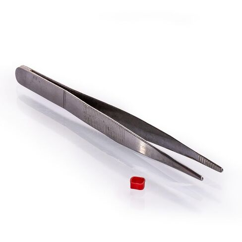 Eisco – Stainless Steel Blunt End Forceps – 130mm Length – Straight Tip Laboratory Forceps – Precision Dissection Tool for Classroom and Scientific Applications in Saudi Arabia