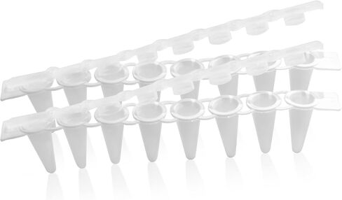 أنابيب PCR 0.1 مل من 8 مشتري ، أنابيب PCR صافية مع أغطية مسطحة ، أنابيب تفاعل PCR رقيقة فائقة ، أنبوب pcr microcentrifuge pcr ، dnase/rnase ، 125 مجموعة/حزمة (أبيض ، 125pcs) in Saudi Arabia