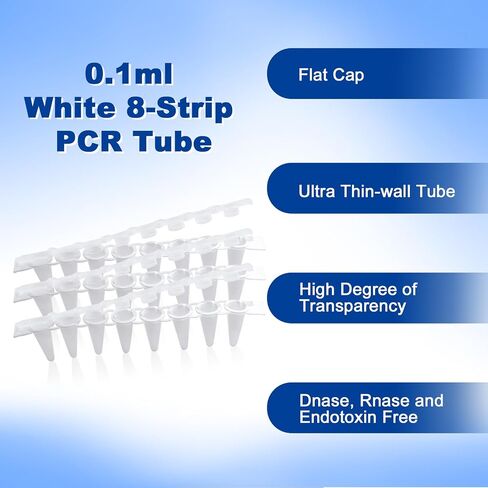أنابيب PCR 0.1 مل من 8 مشتري ، أنابيب PCR صافية مع أغطية مسطحة ، أنابيب تفاعل PCR رقيقة فائقة ، أنبوب pcr microcentrifuge pcr ، dnase/rnase ، 125 مجموعة/حزمة (أبيض ، 125pcs) in Saudi Arabia