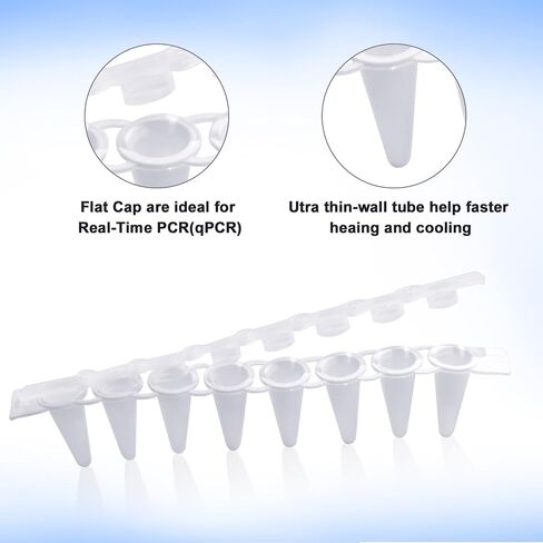 أنابيب PCR 0.1 مل من 8 مشتري ، أنابيب PCR صافية مع أغطية مسطحة ، أنابيب تفاعل PCR رقيقة فائقة ، أنبوب pcr microcentrifuge pcr ، dnase/rnase ، 125 مجموعة/حزمة (أبيض ، 125pcs) in Saudi Arabia