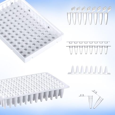 أنابيب PCR 0.1 مل من 8 مشتري ، أنابيب PCR صافية مع أغطية مسطحة ، أنابيب تفاعل PCR رقيقة فائقة ، أنبوب pcr microcentrifuge pcr ، dnase/rnase ، 125 مجموعة/حزمة (أبيض ، 125pcs) in Saudi Arabia