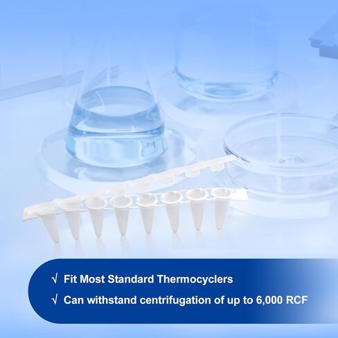 أنابيب PCR 0.1 مل من 8 مشتري ، أنابيب PCR صافية مع أغطية مسطحة ، أنابيب تفاعل PCR رقيقة فائقة ، أنبوب pcr microcentrifuge pcr ، dnase/rnase ، 125 مجموعة/حزمة (أبيض ، 125pcs) in Saudi Arabia