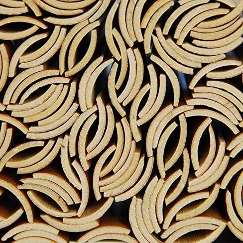 Pre-gouged Bassoon Cane - 10 Pieces (Rieger) in Saudi Arabia