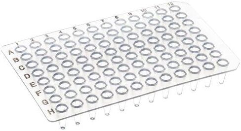 100μL 96 Well PCR Plate, Non-Skirted, A12/H12, Clear, Black Lettering, 50Pcs in Saudi Arabia