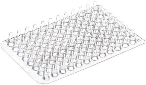 100μL 96 Well PCR Plate, Non-Skirted, A12/H12, Clear, Black Lettering, 50Pcs in Saudi Arabia
