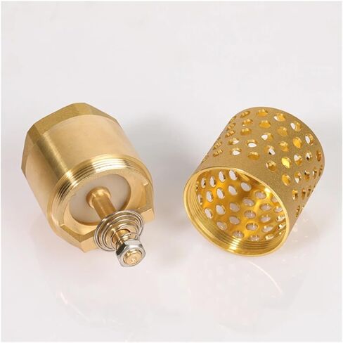 1PCS DN25 32 40 50 internal thread brass check valve one-way full copper filter filter 1" 1-1/4" 1-1/2" 2" for water pump(2′) in Saudi Arabia