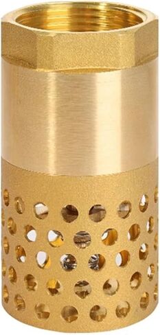 1PCS DN25 32 40 50 internal thread brass check valve one-way full copper filter filter 1" 1-1/4" 1-1/2" 2" for water pump(2′) in Saudi Arabia