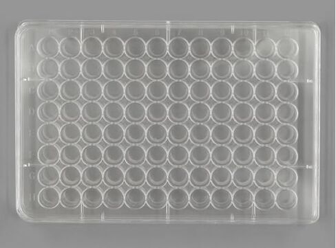 96 Well Low Attachment Cell Culture Plate, for 3D Cell Culture Clear Bottom Sterile Tissue Culture Plates with Flat Bottom, Individually Wrapped, 5Pcs/Box in Saudi Arabia