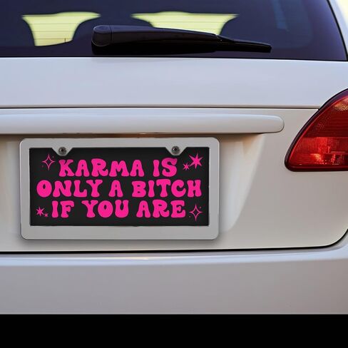Honey Dew Gifts, Expensive and Difficult, Aluminum License Plate, Funny License Plate, Vanity Plates for Cars, Pink Car Accessories for Women, Cute Girly Car Tags, 12 inch by 6 inch, HDG-1690 in Saudi Arabia