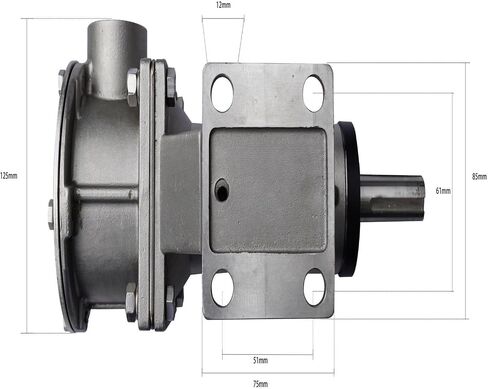 Performance Multi-Function Large Flow Self-Priming Flexible Stainless Steel Impeller Pump 1-1-4 FIP-100 in Saudi Arabia