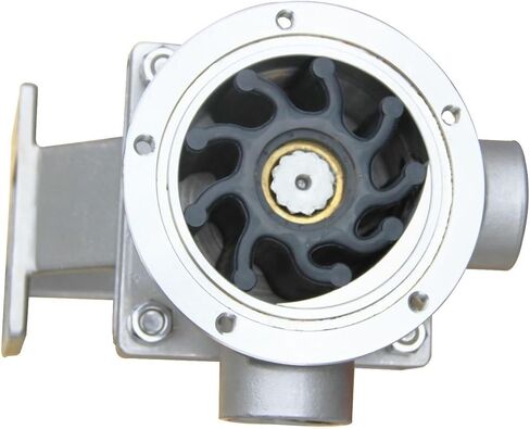 Performance Multi-Function Large Flow Self-Priming Flexible Stainless Steel Impeller Pump 1-1-4 FIP-100 in Saudi Arabia
