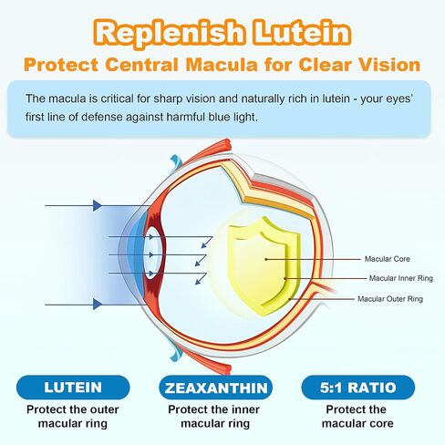 Sugar Free Lutein Gummies 25mg, Lutein and Zeaxanthin Supplements for Eye Health, 13-in-1 Eye Care Formula with Omega-3 Bilberry Saffron & Vitamins-Vision Health, Eye Strain, Dry Eyes, Vegan 60 Count in Saudi Arabia