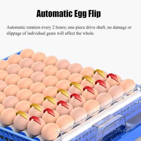 128 حاضنة بيضة مع تحول البيض التلقائي ، حاضنة الفقس البيض مع حاضنات الغرض من المختبر مع التحكم في درجة الحرارة لطيور البط (128 بيضة) in Kuwait