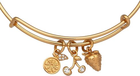 Alex and Ani Summer Fruits Charm Stretch Bracelet in Saudi Arabia