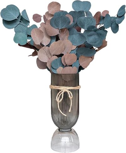 Green+Orange Large Silver Dollar Eucalyptus - Real Natural Eucalyptus, 17" Preserved Eucalyptus Branches for Shower Hanging, Bathroom Decor, Garland, Greenery Plant in Saudi Arabia