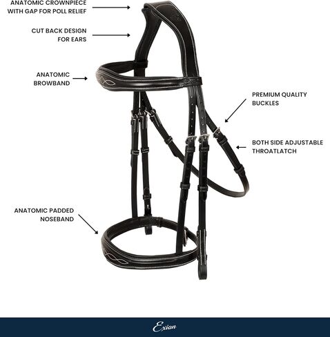 Exion Hunter Anatomic English Bridle للخيول مع زمامات المطاط | مصمم جلدي مميز رفع اللجام المبطن | عرض ، القفز والتدريب اللجام | الأسود والبني | ممتلئ ، خبز ، فوق الأحجام in Saudi Arabia