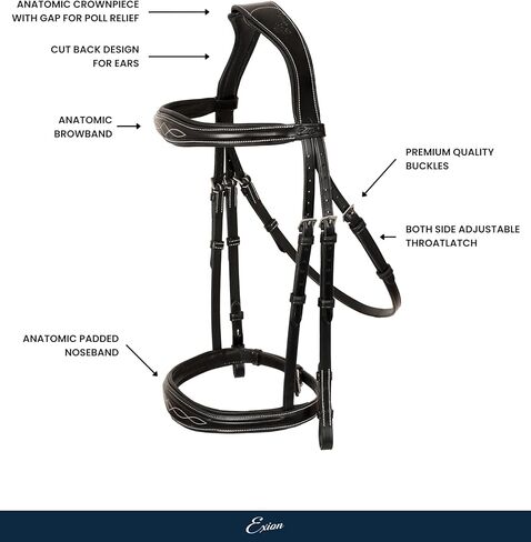 Exion Hunter Anatomic English Bridle for Horses with Rubber Reins | Premium Leather Designer Raised Padded Bridle | Show, Jumping & Training Bridle | Black & Brown | Full, Cob, Over Sizes in Kuwait