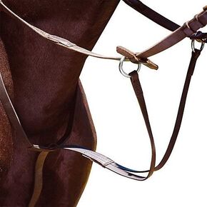 Wintec Running Martingale in Saudi Arabia