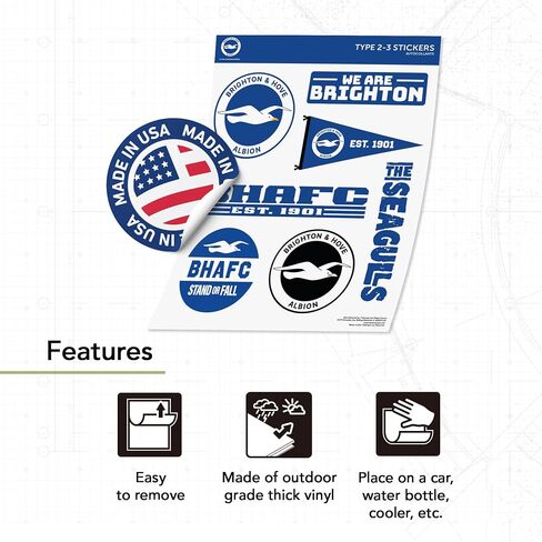 Desert Cactus Brighton & Hove Albion Sticker Bhafc Seagulls نادي كرة القدم شارات فينيل المحمول زجاجة ماء القرص مروحة الرسمية Gear T2 (النوع 2-3) in Saudi Arabia
