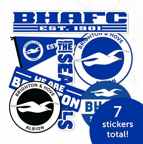 Desert Cactus Brighton & Hove Albion Sticker Bhafc Seagulls نادي كرة القدم شارات فينيل المحمول زجاجة ماء القرص مروحة الرسمية Gear T2 (النوع 2-3) in Saudi Arabia