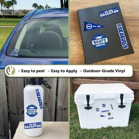 Desert Cactus Brighton & Hove Albion Sticker Bhafc Seagulls نادي كرة القدم شارات فينيل المحمول زجاجة ماء القرص مروحة الرسمية Gear T2 (النوع 2-3) in Saudi Arabia