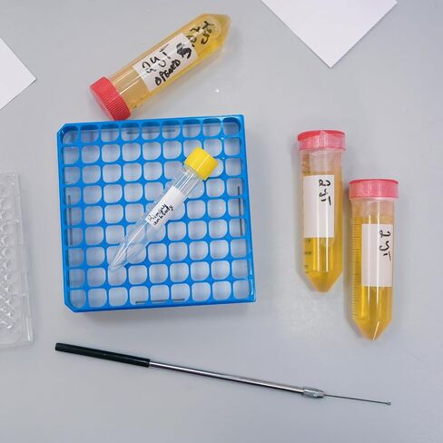 PATIKIL 100 Well Centrifuge Tube Freezer Storage Box, 6Pcs Waterproof Cardboard Tube Rack for 0.5ml, 1.5ml, 1.8ml, 2ml Tubes Vials Samples, Yellow Red Orange in Saudi Arabia