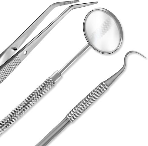 طلاب تدريب طالب طلاب طب الأسنان ، مجموعة أدوات الفولاذ المقاوم للصدأ ، أدوات إزالة البلاك (10) in Saudi Arabia