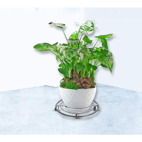 عجلات العجلات ، عجلات الأثاث ، عجلات لوحة دوارة دوارة مع الفرامل ، وعجلات الأثاث المطاط الناعم ، صفيحة أعلى 360 درجة ، سعة الحمل 120 كجم ، للخشب الصلب ، السجاد ، 4pcs ، مع البراغي (الفرامل ، 50 مم) in Kuwait