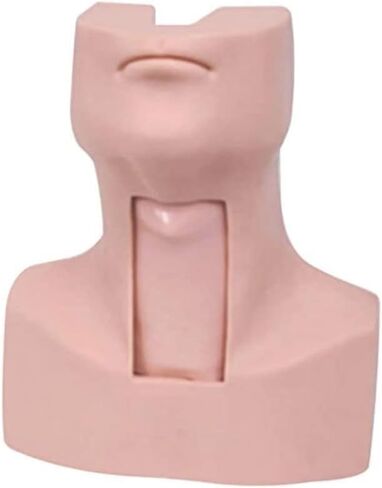 التدريب على التمريض في القصبة الهوائية ، Manikin ، نموذج محاكاة PVC لاستئصال القصبة الهوائية ، بضع cricothyroty ، مع 4x محاكاة القصبة الهوائية وجلد الرقبة 4x ، مناسبة للمستشفيات ، المدارس ، مراكز الأبحاث ، إلخ. in Kuwait