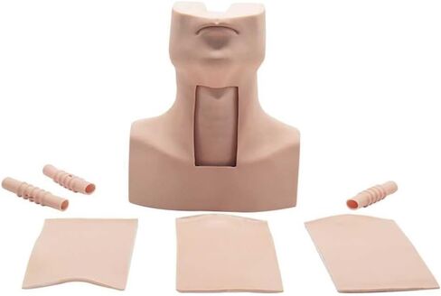 التدريب على التمريض في القصبة الهوائية ، Manikin ، نموذج محاكاة PVC لاستئصال القصبة الهوائية ، بضع cricothyroty ، مع 4x محاكاة القصبة الهوائية وجلد الرقبة 4x ، مناسبة للمستشفيات ، المدارس ، مراكز الأبحاث ، إلخ. in Kuwait