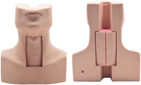 التدريب على التمريض في القصبة الهوائية ، Manikin ، نموذج محاكاة PVC لاستئصال القصبة الهوائية ، بضع cricothyroty ، مع 4x محاكاة القصبة الهوائية وجلد الرقبة 4x ، مناسبة للمستشفيات ، المدارس ، مراكز الأبحاث ، إلخ. in Kuwait