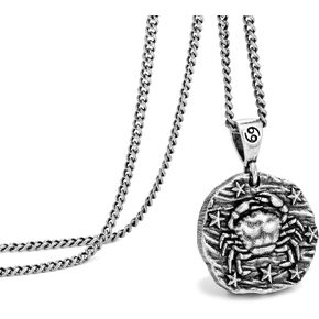 قلادة سبيروتو زودياك للرجال والنساء، قلادة من الفولاذ المقاوم للصدأ 12 كوكبة للرجال، قلادة على شكل برج التنجيم منقوشة على شكل زودياك، هدايا مثالية للرجال والنساء والمراهقين in Kuwait