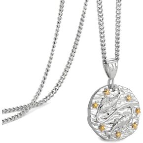 Speroto Zodiac Necklace for Men Women, Stainless Steel 12 Constellation Mens Necklace, Horoscope Astrology Embossed Zodiac Pendant Necklace, Ideal Gifts for Men Women Teens