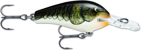 Rapala Fat Wrap FR5 2.0 بوصة (5 سم) / 0.3 أونصة (8 جم) in Saudi Arabia
