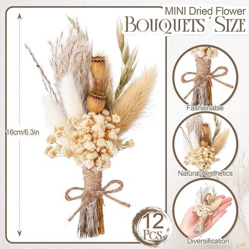 NUANCHU 12 PCS MINI مجفف باقة زهرة 6 "زهرة صغيرة مجففة صغيرة مع جذع لعيد ميلاد DIY Crafts Scrapbook Vase Boho Party Party Cake Bridesmaid Gifts Decor in Saudi Arabia