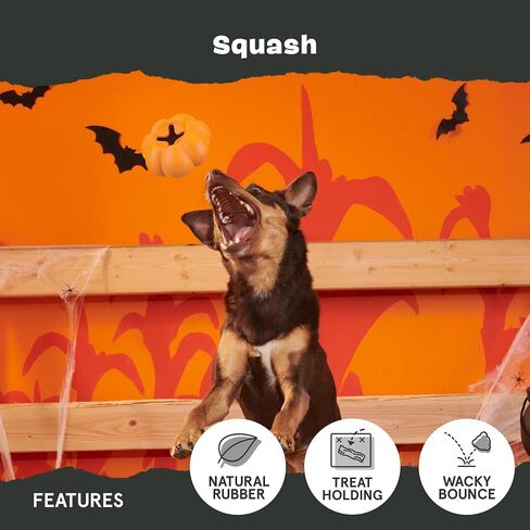 Barkbox BARK Coral Teef Dog Toy | Wacky Bounce | Dog Toy for Aggressive Chewers in Kuwait