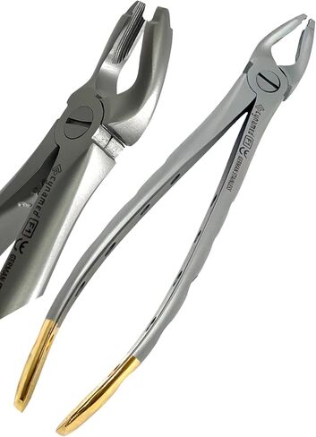 German Premium F1 Dental Extraction Forceps Tooth EXTRACTING Upper ATRAUMATIC Universal Forceps with DEEP Grip Gold Handle Tips CYNAMED in Saudi Arabia