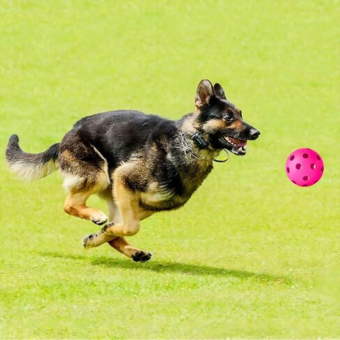 Coopay 24/80 Pack Baseball Practice Balls Plastic Training Balls Lightweight Hollow Softballs for Hitting, Baseball Training Indoor Outdoor Use in Saudi Arabia
