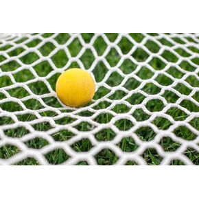 6mm 4x4 Box Lacrosse Net in Saudi Arabia