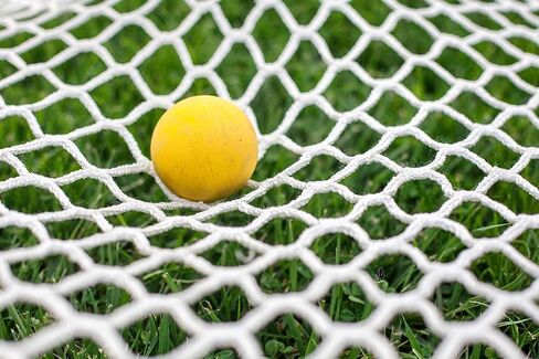 6mm 4x4 Box Lacrosse Net in Saudi Arabia