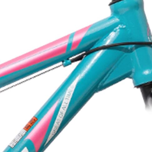 هيلاند 24 26 بوصة الدراجة الجبلية الإطارات الدهنية للرجال والنساء ، شاطئ عالي الكربون من الصلب والثلوج عريض الإطارات الدراجات البال in Kuwait