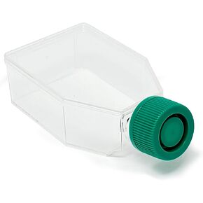 SPL Cell Culture Flask 25 cm² (T25) Plug Cap Treated, Sterile, 200/Case in Saudi Arabia