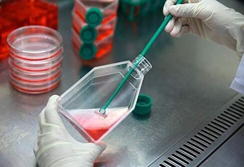 قارورة ثقافة خلية SPL 25 سم مربع (T25) CAP المعالجة ، معقمة ، 200/CASE in Saudi Arabia