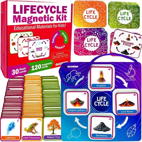 QUOKKA Life Cycle Kit Toy Montessori - 30 Flash Cards Toddler Science Activities for Kids Ages 2-4 - Prek Animal Learning Materials 3-5 - 120 Magnetic Toddler Classroom Must Haves for Preschool in Saudi Arabia