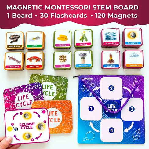 QUOKKA Life Cycle Kit Toy Montessori - 30 Flash Cards Toddler Science Activities for Kids Ages 2-4 - Prek Animal Learning Materials 3-5 - 120 Magnetic Toddler Classroom Must Haves for Preschool in Saudi Arabia