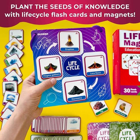 QUOKKA Life Cycle Kit Toy Montessori - 30 Flash Cards Toddler Science Activities for Kids Ages 2-4 - Prek Animal Learning Materials 3-5 - 120 Magnetic Toddler Classroom Must Haves for Preschool in Saudi Arabia