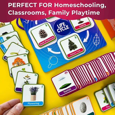 QUOKKA Life Cycle Kit Toy Montessori - 30 Flash Cards Toddler Science Activities for Kids Ages 2-4 - Prek Animal Learning Materials 3-5 - 120 Magnetic Toddler Classroom Must Haves for Preschool in Saudi Arabia