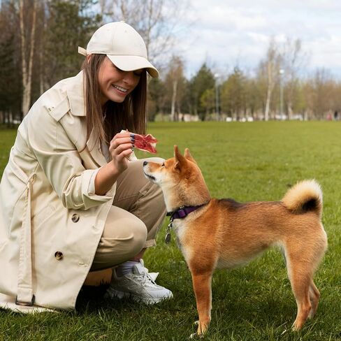 Jungle Calling Dog Treats, Chicken Jerky Dog Treats, Rawhide Free Chicken Wrapped Bones Training Chews, Made with Real Chicken and Duck Cartilage Chewy Snacks in Saudi Arabia